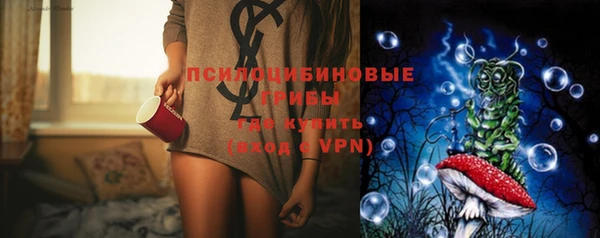 apvp Лиски