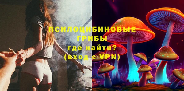 apvp Лиски