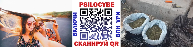 Псилоцибиновые грибы Cubensis  Емва 